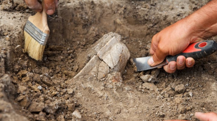 Duik in het verleden tijdens de Nationale Archeologiedagen